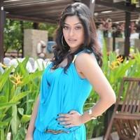 Payal Ghosh New Hot and Spicy Gallery | Picture 90614